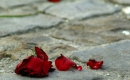 Kitaratausta Gloomy Sunday - Billie Holiday