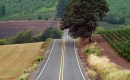 No Hurry - Instrumentaali MP3 Karaoke- Zac Brown Band No Hurry - Instrumentaali MP3 Karaoke- Zac Brown Band